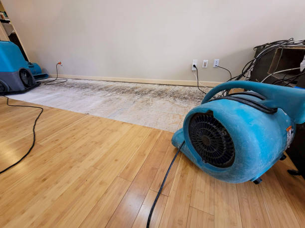 Professional Sewage Cleanup technician working in Clyde, NC